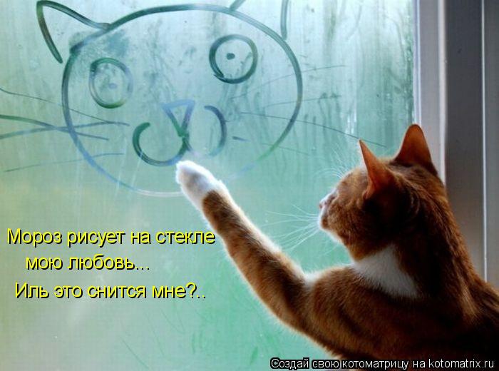 Мороз рисует на стекле мою любовь... Иль это снится мне?..... Котоматрица: Мороз рисует на стекле мою любовь... Иль это снится мне?..