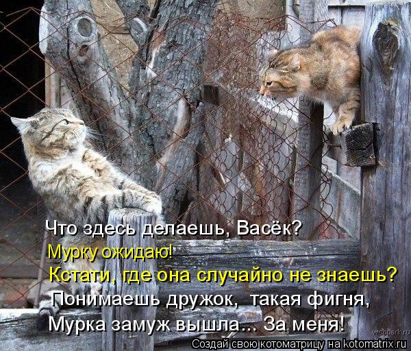 Кстати, где она случайно не знаешь? Мурку ожидаю! Что здесь делаешь, Васёк? Мурка замуж вышла... За м... Котоматрица: Кстати, где она случайно не знаешь? Мурку ожидаю! Что здесь делаешь, Васёк? Мурка замуж вышла... За меня! Понимаешь дружок, такая фигня,