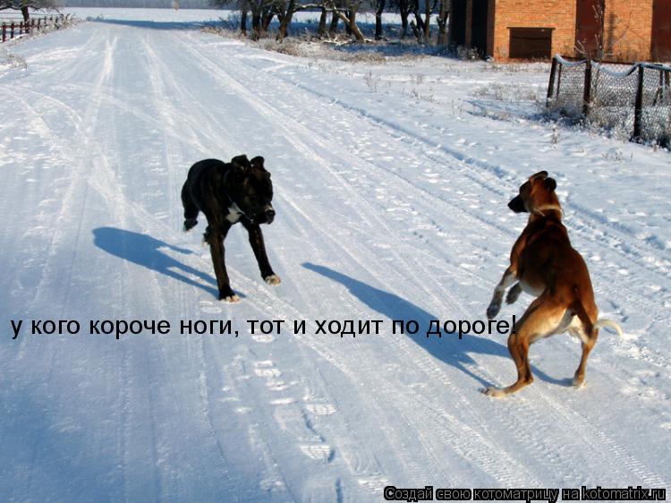 у кого короче ноги, тот и ходит по дороге!... Котоматрица: у кого короче ноги, тот и ходит по дороге!