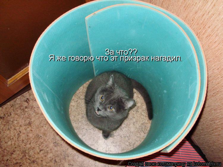 За что?? Я же говорю что эт призрак нагадил.... Котоматрица: За что?? Я же говорю что эт призрак нагадил.
