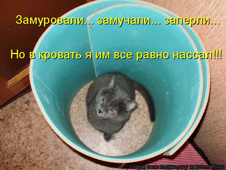Замуровали... замучали... заперли... Но в кровать я им все равно нассал!!!... Котоматрица: Замуровали... замучали... заперли... Но в кровать я им все равно нассал!!!