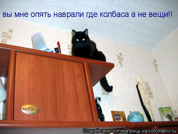 вы мне опять наврали где колбаса а не вещи!! вы мне опять наврали где колбаса а не вещи!!... Котоматрица: вы мне опять наврали где колбаса а не вещи!! вы мне опять наврали где колбаса а не вещи!!