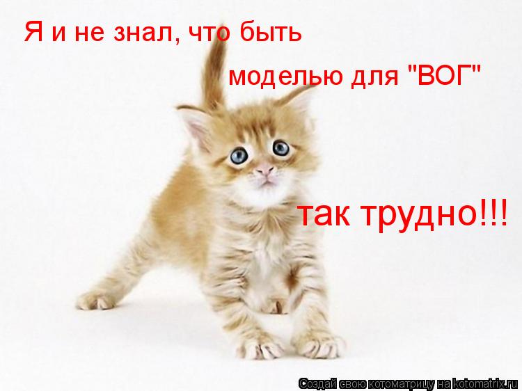 Я и не знал, что быть моделью для "ВОГ" так трудно!!!... Котоматрица: Я и не знал, что быть моделью для "ВОГ" так трудно!!!