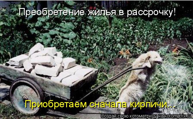 Преобретение жилья в рассрочку! Приобретаем сначала кирпичи...... Котоматрица: Преобретение жилья в рассрочку! Приобретаем сначала кирпичи...