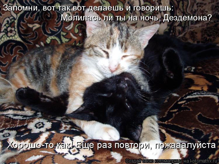 Запомни, вот так вот делаешь и говоришь: Молилась ли ты на ночь, Дездемона? Хорошо-то как! Еще раз по... Котоматрица: Запомни, вот так вот делаешь и говоришь: Молилась ли ты на ночь, Дездемона? Хорошо-то как! Еще раз повтори, пожааалуйста