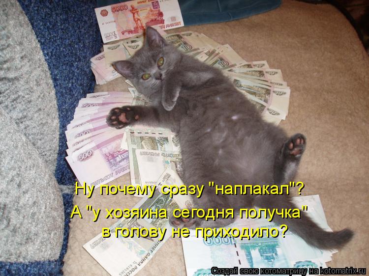 Ну почему сразу "наплакал"? А "у хозяина сегодня получка" в голову не приходило?... Котоматрица: Ну почему сразу "наплакал"? А "у хозяина сегодня получка" в голову не приходило?