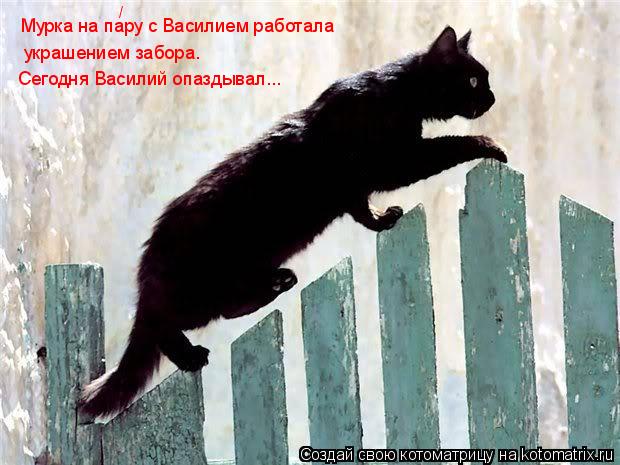 Мурка на пару с Василием работала украшением забора. Сегодня Василий опаздывал... /... Котоматрица: Мурка на пару с Василием работала украшением забора. Сегодня Василий опаздывал... /