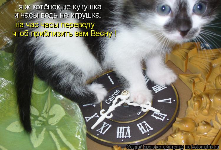 я ж котёнок,не кукушка и часы ведь не игрушка. на час часы переведу чтоб приблизить вам Весну !... Котоматрица: я ж котёнок,не кукушка и часы ведь не игрушка. на час часы переведу чтоб приблизить вам Весну !