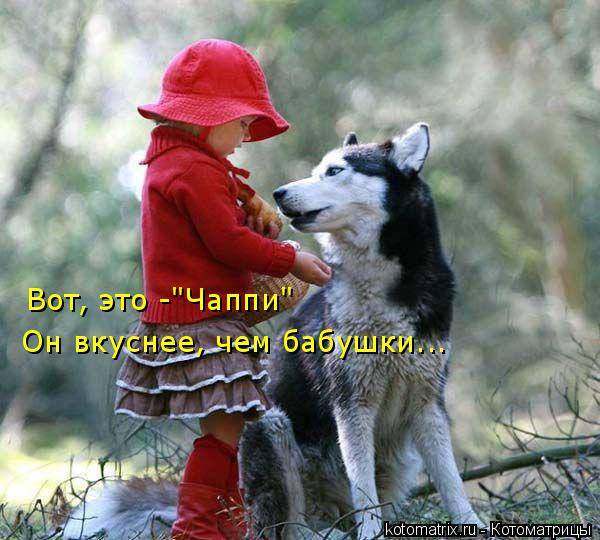Котоматрица: Вот, это -"Чаппи" Он вкуснее, чем бабушки...