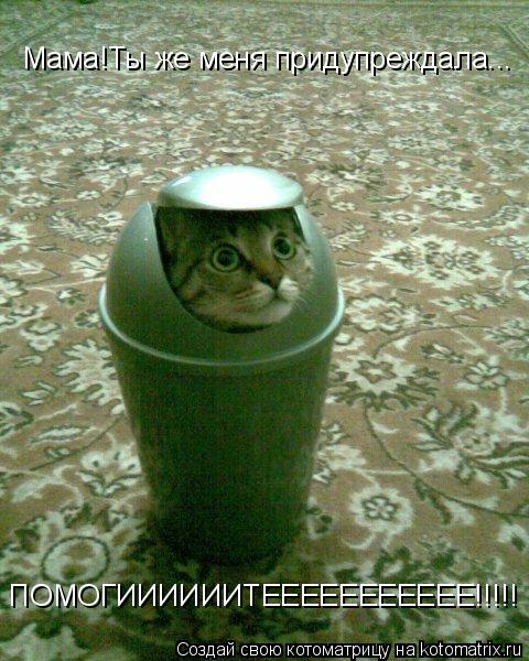 Мама!Ты же меня придупреждала... ПОМОГИИИИИИТЕЕЕЕЕЕЕЕЕЕЕ!!!!!... Котоматрица: Мама!Ты же меня придупреждала... ПОМОГИИИИИИТЕЕЕЕЕЕЕЕЕЕЕ!!!!!
