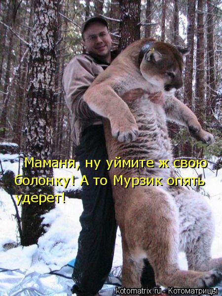 Маманя, ну уймите ж свою болонку! А то Мурзик опять удерет!... Котоматрица: Маманя, ну уймите ж свою болонку! А то Мурзик опять удерет!