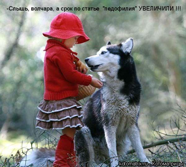 -Слышь, волчара, а срок по статье "педофилия" УВЕЛИЧИЛИ !!!... Котоматрица: -Слышь, волчара, а срок по статье "педофилия" УВЕЛИЧИЛИ !!!