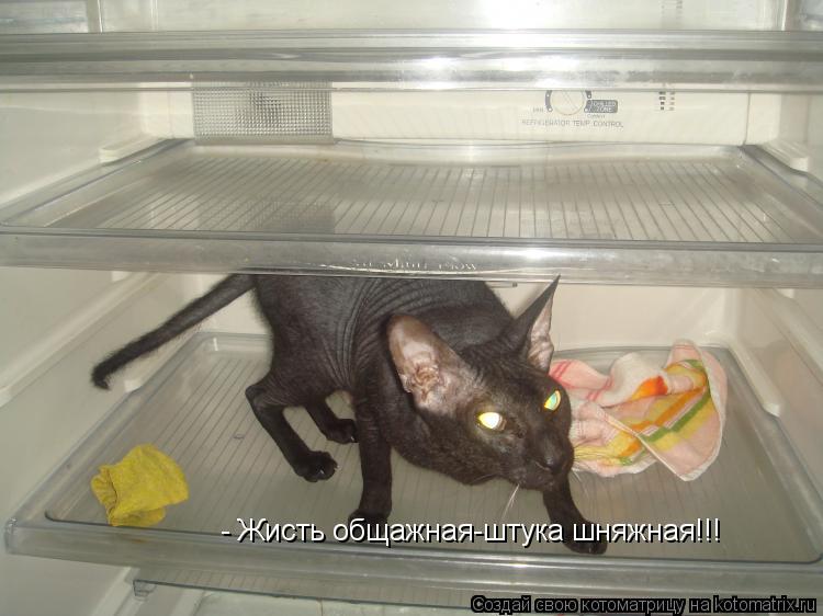 - Жисть общажная-штука шняжная!!!... Котоматрица: - Жисть общажная-штука шняжная!!!