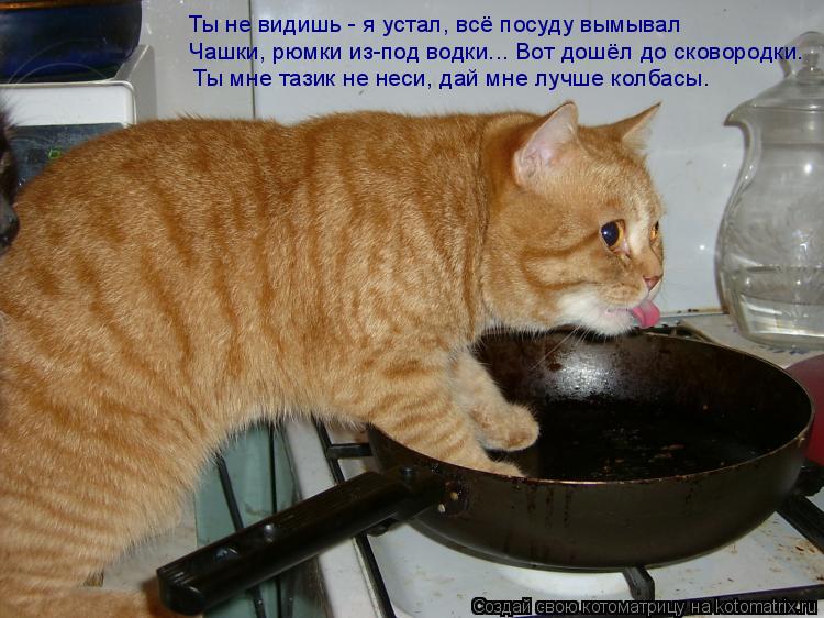 Ты мне тазик не неси, дай мне лучше колбасы. Ты не видишь - я устал, всё посуду вымывал Чашки, рюмки ... Котоматрица: Ты мне тазик не неси, дай мне лучше колбасы. Ты не видишь - я устал, всё посуду вымывал Чашки, рюмки из-под водки... Вот дошёл до сковородки.