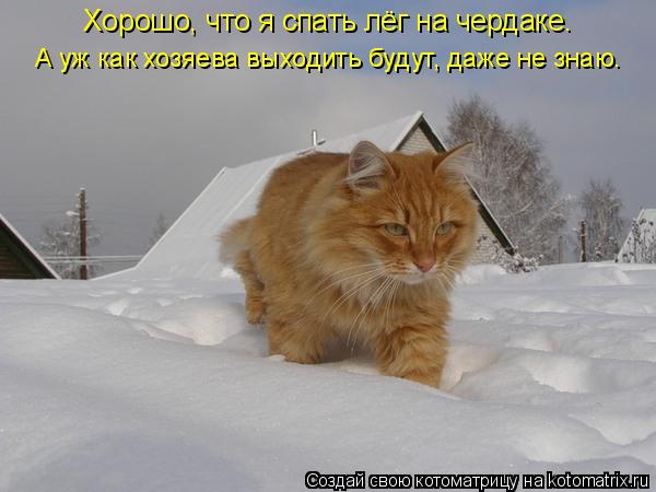 Котоматрица: Хорошо, что я спать лёг на чердаке. А уж как хозяева выходить будут, даже не знаю.