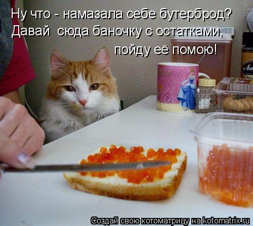 Ну что - намазала себе бутерброд? Давай сюда баночку с остатками, пойду её помою!... Котоматрица: Ну что - намазала себе бутерброд? Давай сюда баночку с остатками, пойду её помою!