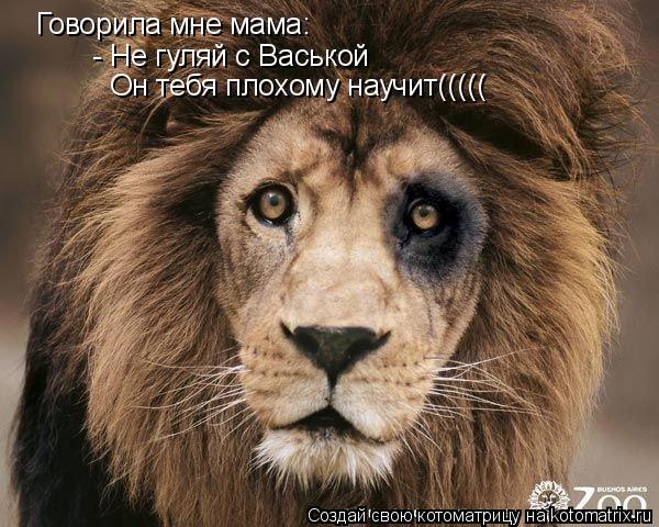 Говорила мне мама: - Не гуляй с Васькой Он тебя плохому научит(((((... Котоматрица: Говорила мне мама: - Не гуляй с Васькой Он тебя плохому научит(((((