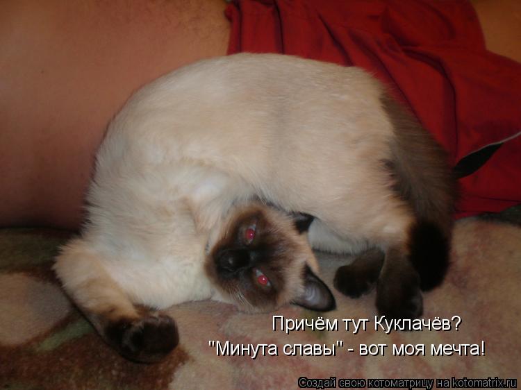 Причём тут Куклачёв? "Минута славы" - вот моя мечта!... Котоматрица: Причём тут Куклачёв? "Минута славы" - вот моя мечта!