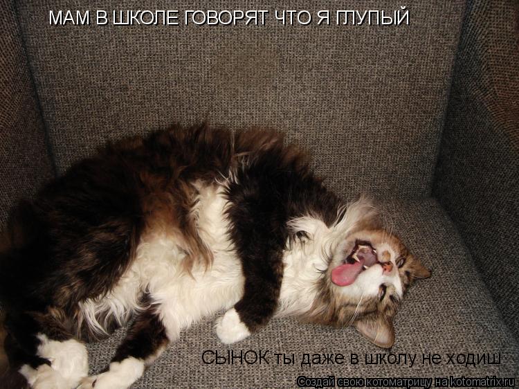 МАМ В ШКОЛЕ ГОВОРЯТ ЧТО Я ГЛУПЫЙ СЫНОК ты даже в школу не ходиш... Котоматрица: МАМ В ШКОЛЕ ГОВОРЯТ ЧТО Я ГЛУПЫЙ СЫНОК ты даже в школу не ходиш