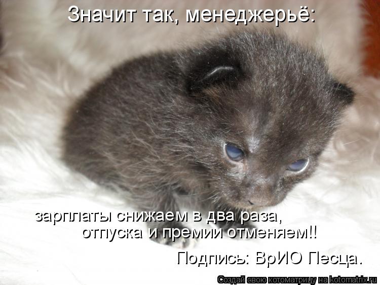 Значит так, менеджерьё: зарплаты снижаем в два раза, отпуска и премии отменяем!! Подпись: ВрИО Песца.... Котоматрица: Значит так, менеджерьё: зарплаты снижаем в два раза, отпуска и премии отменяем!! Подпись: ВрИО Песца.