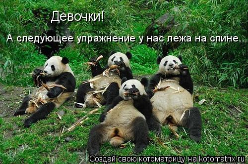 Девочки! А следующее упражнение у нас лежа на спине...... Котоматрица: Девочки! А следующее упражнение у нас лежа на спине...