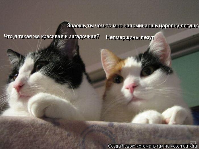 Знаешь,ты чем-то мне напоминаешь царевну-лягушку Что,я такая же красивая и загадочная? Нет,марщины ле... Котоматрица: Знаешь,ты чем-то мне напоминаешь царевну-лягушку Что,я такая же красивая и загадочная? Нет,марщины лезут
