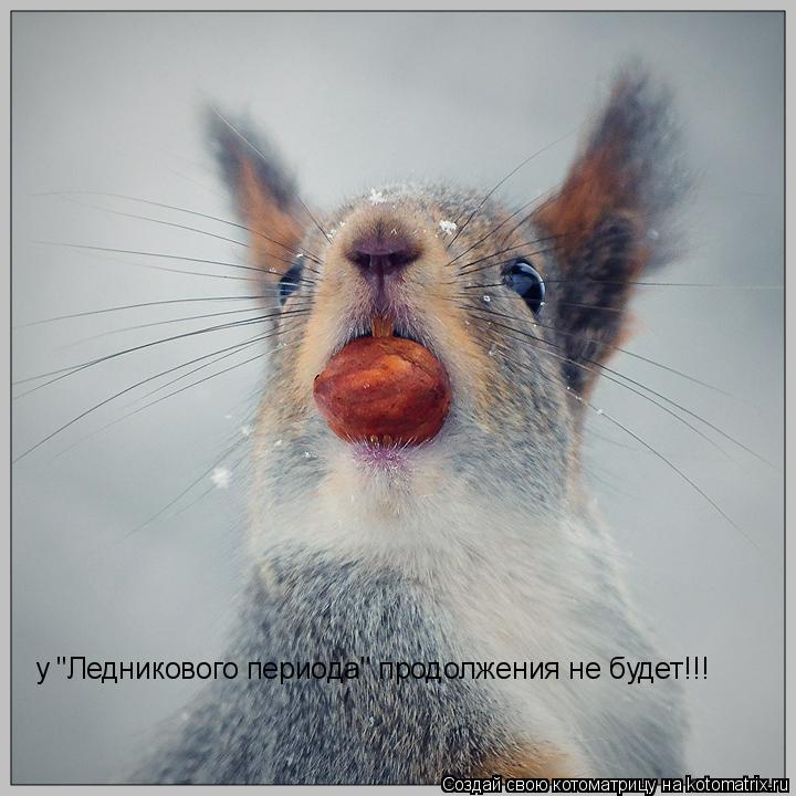 у "Ледникового периода" продолжения не будет!!!... Котоматрица: у "Ледникового периода" продолжения не будет!!!