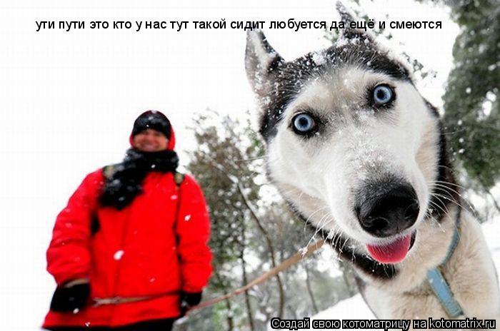 ути пути это кто у нас тут такой сидит ути пути это кто у нас тут такой сидит любуется да ещё и смею... Котоматрица: ути пути это кто у нас тут такой сидит ути пути это кто у нас тут такой сидит любуется да ещё и смеются