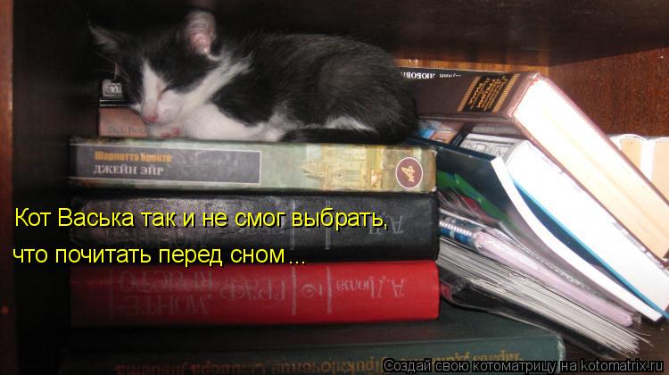 Кот Васька так и не смог выбрать, что почитать перед сном ...... Котоматрица: Кот Васька так и не смог выбрать, что почитать перед сном ...