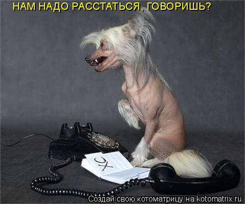 НАМ НАДО РАССТАТЬСЯ, ГОВОРИШЬ?... Котоматрица: НАМ НАДО РАССТАТЬСЯ, ГОВОРИШЬ?