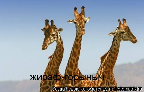 жираф-горыныч... Котоматрица: жираф-горыныч