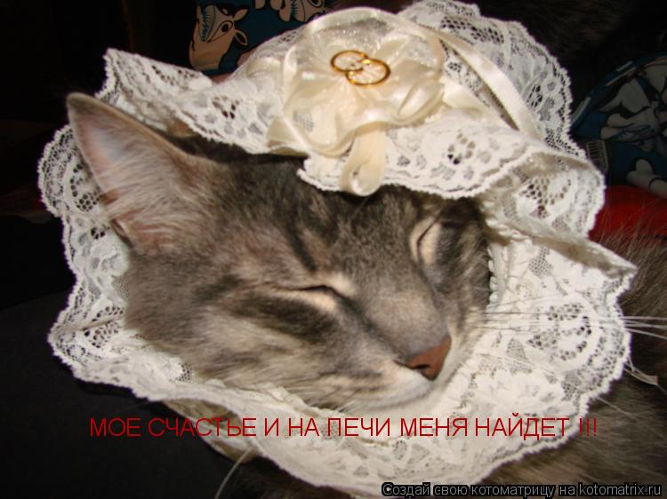 МОЕ СЧАСТЬЕ И НА ПЕЧИ МЕНЯ НАЙДЕТ !!!... Котоматрица: МОЕ СЧАСТЬЕ И НА ПЕЧИ МЕНЯ НАЙДЕТ !!!