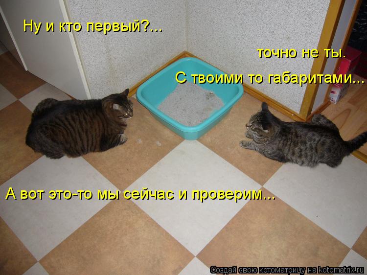 Ну и кто первый?... точно не ты. С твоими то габаритами... А вот это-то мы сейчас и проверим...... Котоматрица: Ну и кто первый?... точно не ты. С твоими то габаритами... А вот это-то мы сейчас и проверим...