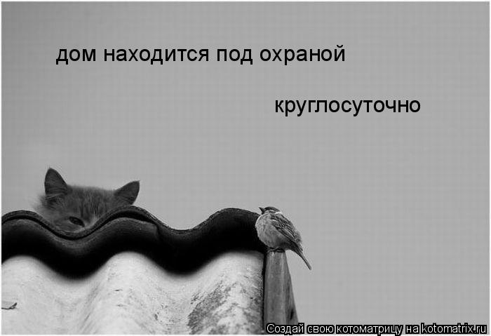 дом находится под охраной круглосуточно... Котоматрица: дом находится под охраной круглосуточно