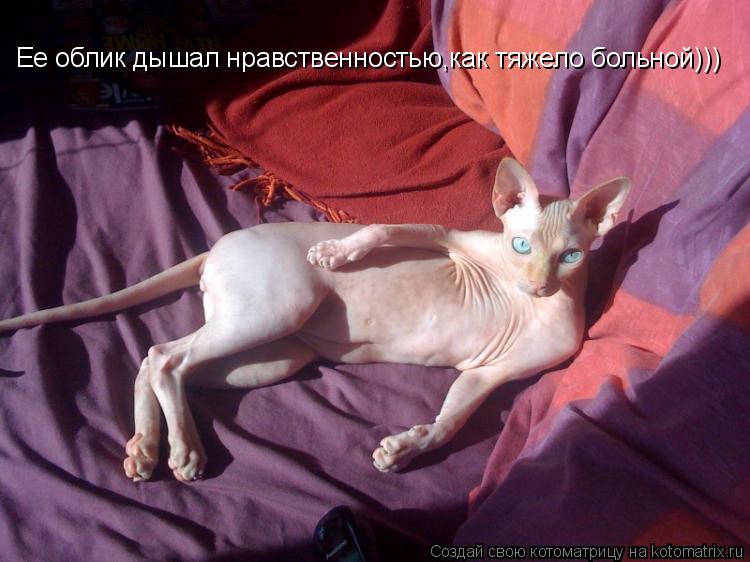 Ее облик дышал нравственностью,как тяжело больной)))... Котоматрица: Ее облик дышал нравственностью,как тяжело больной)))