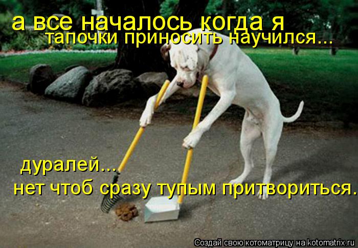 а все началось когда я тапочки приносить научился... дуралей... нет чтоб сразу тупым притвориться...... Котоматрица: а все началось когда я тапочки приносить научился... дуралей... нет чтоб сразу тупым притвориться...