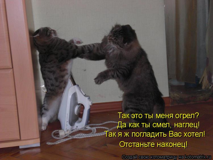 Так это ты меня огрел? Да как ты смел, наглец! Так я ж погладить Вас хотел! Отстаньте наконец!... Котоматрица: Так это ты меня огрел? Да как ты смел, наглец! Так я ж погладить Вас хотел! Отстаньте наконец!