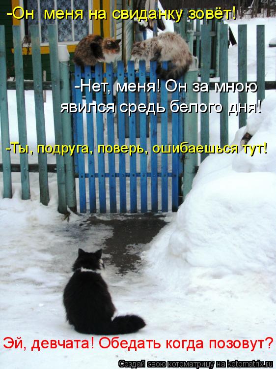 Эй, девчата! Обедать когда позовут? -Он меня на свиданку зовёт! -Нет, меня! Он за мною явился сре... Котоматрица: Эй, девчата! Обедать когда позовут? -Он меня на свиданку зовёт! -Нет, меня! Он за мною явился средь белого дня! -Ты, подруга, поверь, ошибаешь