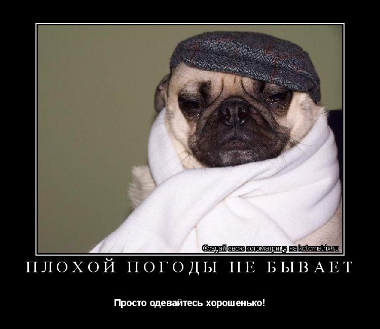 Плохой погоды не бывает Просто одевайтесь хорошенько!... Котоматрица: Плохой погоды не бывает Просто одевайтесь хорошенько!