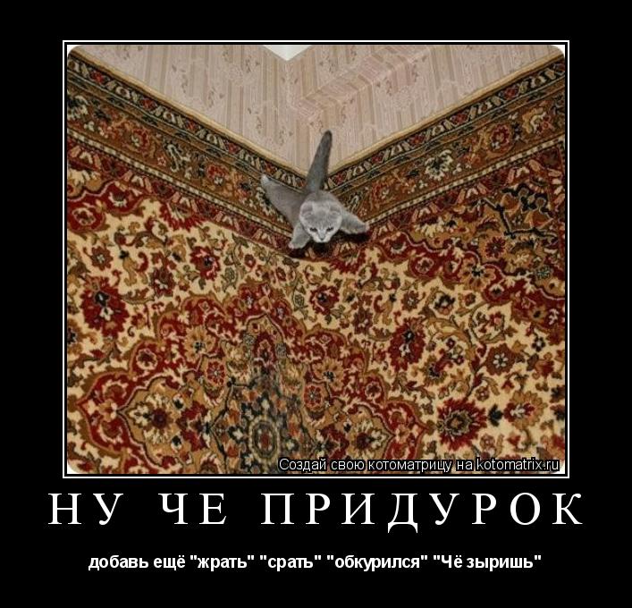 НУ ЧЁ ПРИДУРОК добавь ещё "жрать" "срать" "обкурился" "Чё зыришь"... Котоматрица: НУ ЧЁ ПРИДУРОК добавь ещё "жрать" "срать" "обкурился" "Чё зыришь"