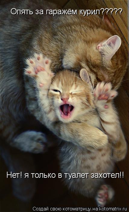 Опять за гаражём курил????? Нет! я только в туалет захотел!!... Котоматрица: Опять за гаражём курил????? Нет! я только в туалет захотел!!