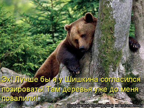 Эх! Лучше бы я у Шишкина согласился позировать! Там деревья уже до меня повалили!... Котоматрица: Эх! Лучше бы я у Шишкина согласился позировать! Там деревья уже до меня повалили!