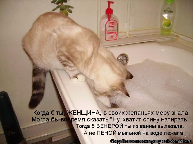 Когда б ты, ЖЕНЩИНА, в своих желаньях меру знала, Могла бы вовремя сказать:"Ну, хватит спину натирать... Котоматрица: Когда б ты, ЖЕНЩИНА, в своих желаньях меру знала, Могла бы вовремя сказать:"Ну, хватит спину натирать!" Тогда б ВЕНЕРОЙ ты из ванны вылезала, А
