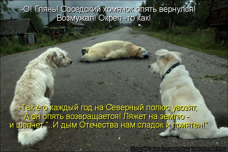 -О! Глянь! Соседский хомячок опять вернулся! Возмужал! Окреп -то как! -Так его каждый год на Северный... Котоматрица: -О! Глянь! Соседский хомячок опять вернулся! Возмужал! Окреп -то как! -Так его каждый год на Северный полюс увозят, А он опять возвращается! Ля