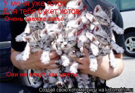 У меня уже готов Для тебя букет котов, Очень свежие коты! Они не вянут, как цветы.... Котоматрица: У меня уже готов Для тебя букет котов, Очень свежие коты! Они не вянут, как цветы.