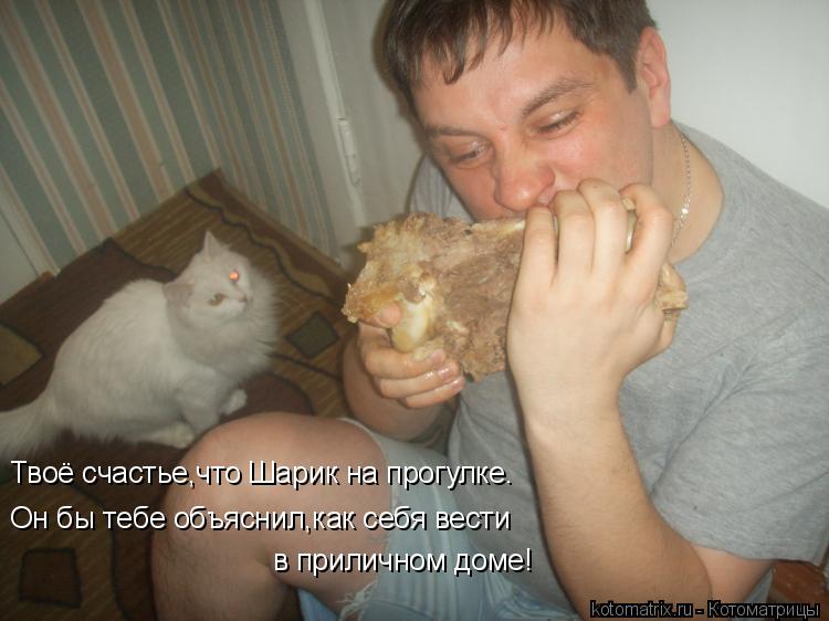 Твоё счастье,что Шарик на прогулке. Он бы тебе объяснил,как себя вести в приличном доме!... Котоматрица: Твоё счастье,что Шарик на прогулке. Он бы тебе объяснил,как себя вести в приличном доме!