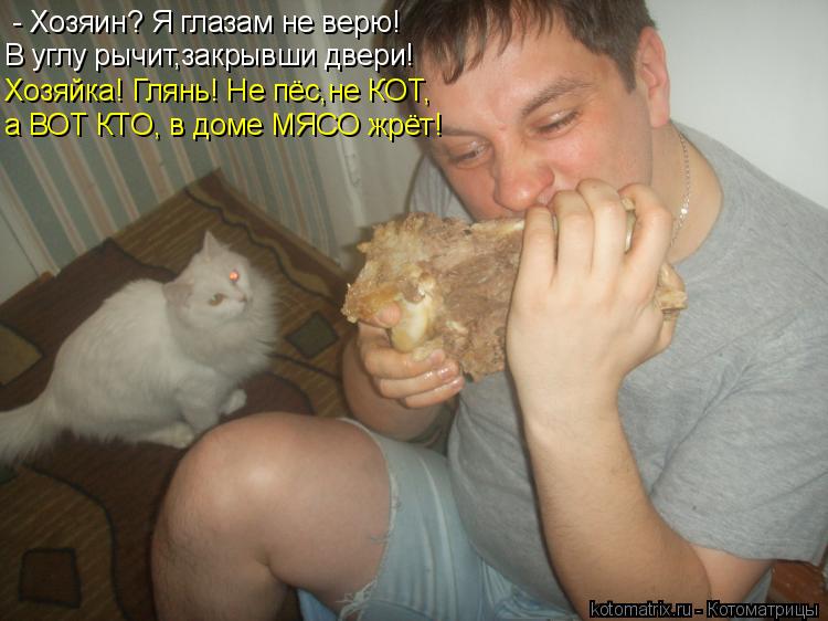 - Хозяин? Я глазам не верю! В углу рычит,закрывши двери! Хозяйка! Глянь! Не пёс,не КОТ, а ВОТ КТО, в ... Котоматрица: - Хозяин? Я глазам не верю! В углу рычит,закрывши двери! Хозяйка! Глянь! Не пёс,не КОТ, а ВОТ КТО, в доме МЯСО жрёт!