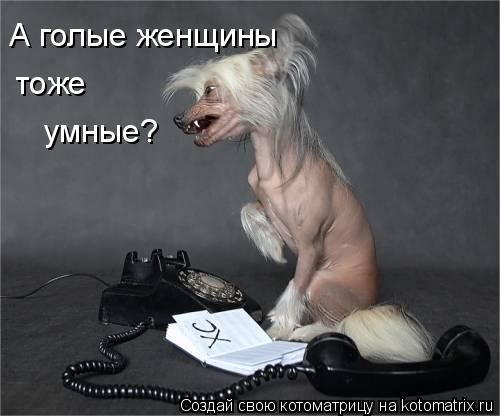 А голые женщины тоже умные?... Котоматрица: А голые женщины тоже умные?
