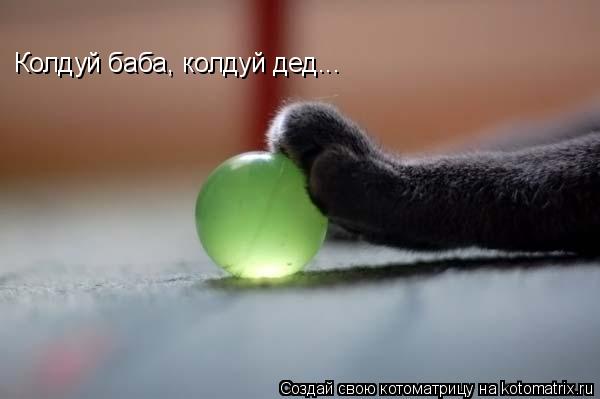 Котоматрица: Колдуй баба, колдуй дед...