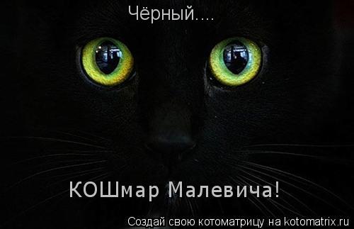 Чёрный.... КОШмар Малевича!... Котоматрица: Чёрный.... КОШмар Малевича!